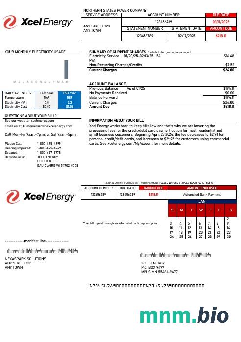 USA Xcel Energy rachunek za usługi komunalne Word i szablon PDF